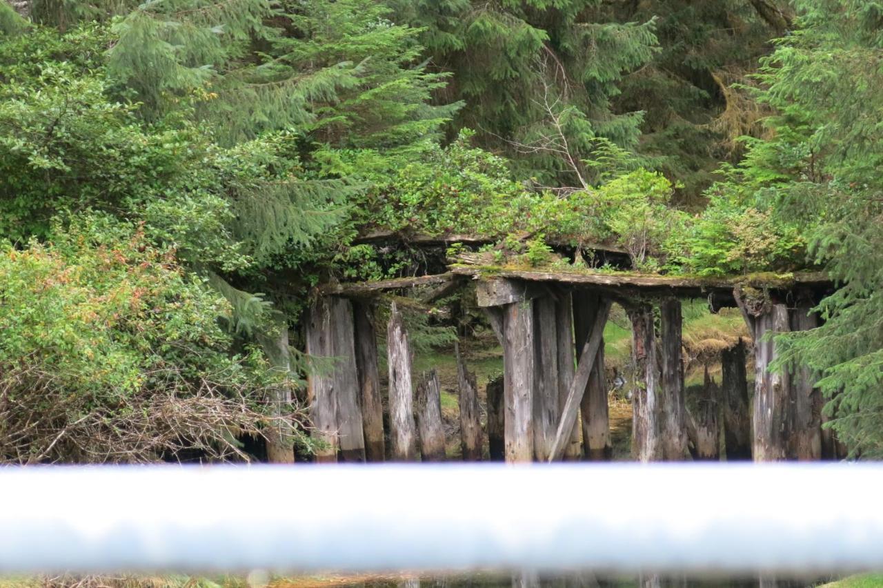 Willa A Shack In The Woods Port Renfrew Zewnętrze zdjęcie